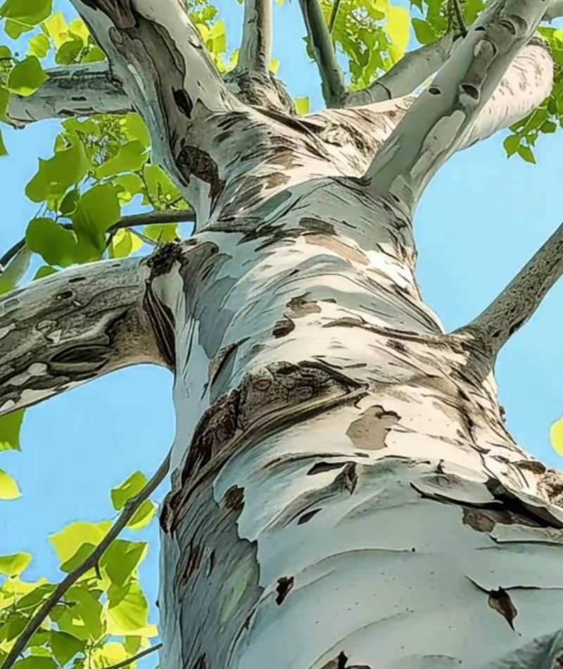 attractive whatsapp dp 8