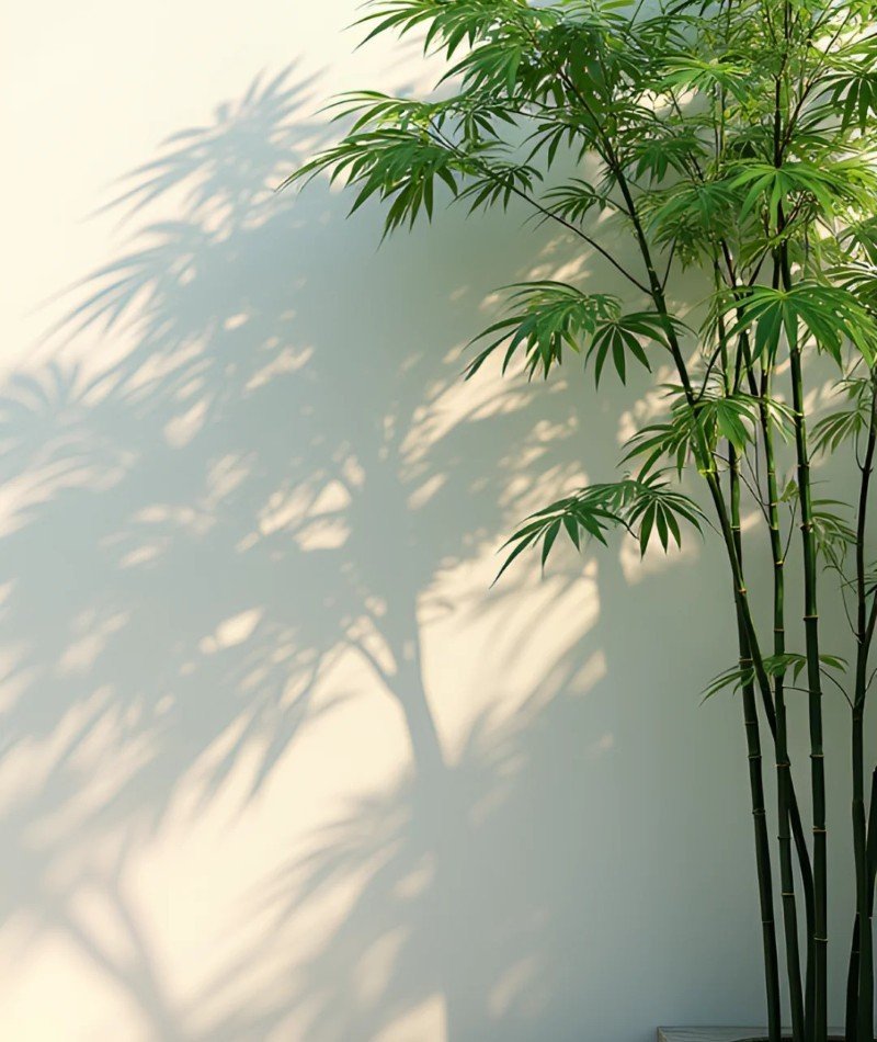 attractive whatsapp dp quotes