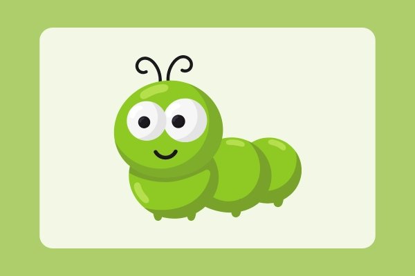 how to draw a worm