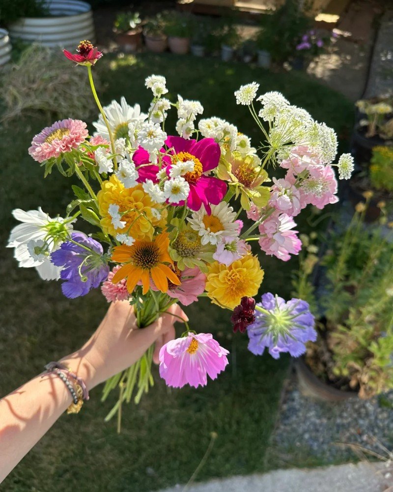 beautiful flowers dp 12