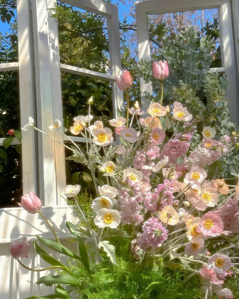 beautiful flowers dp 45