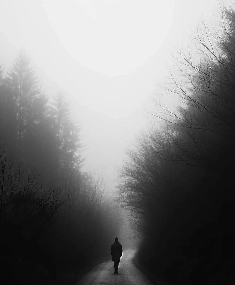 black and white dp 11