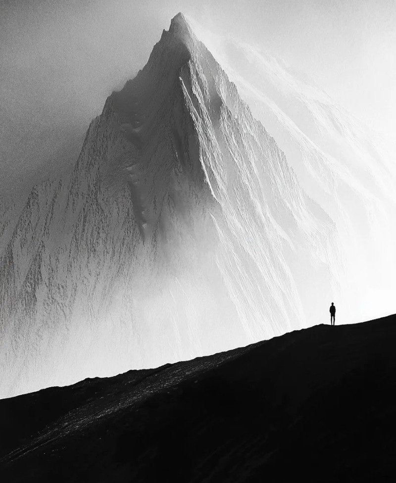 black and white dp 12