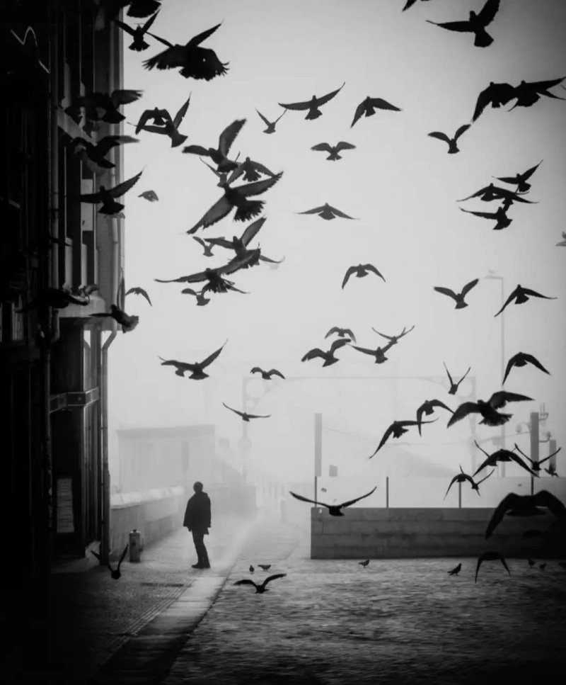 black and white dp 13