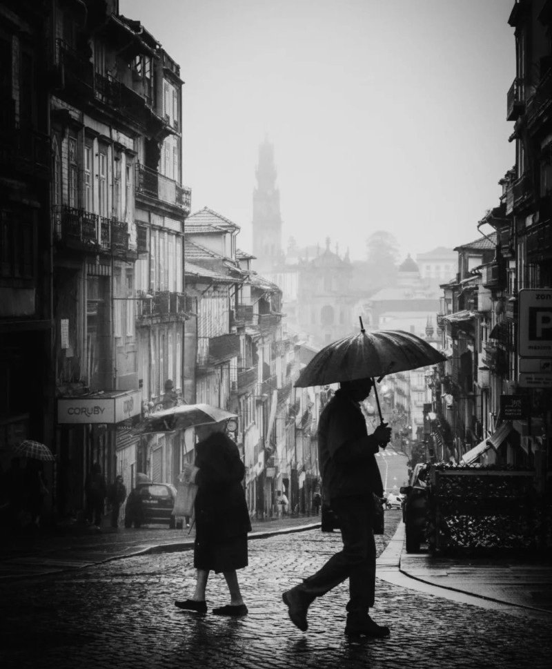 black and white dp 31