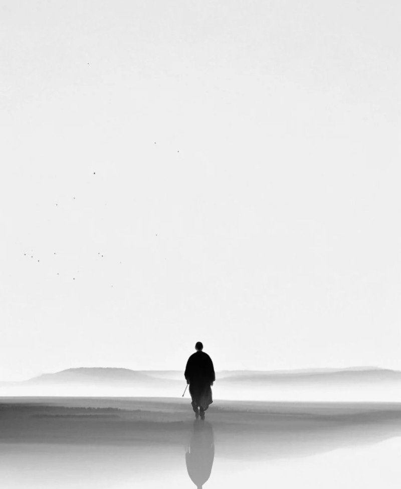 black and white dp 32