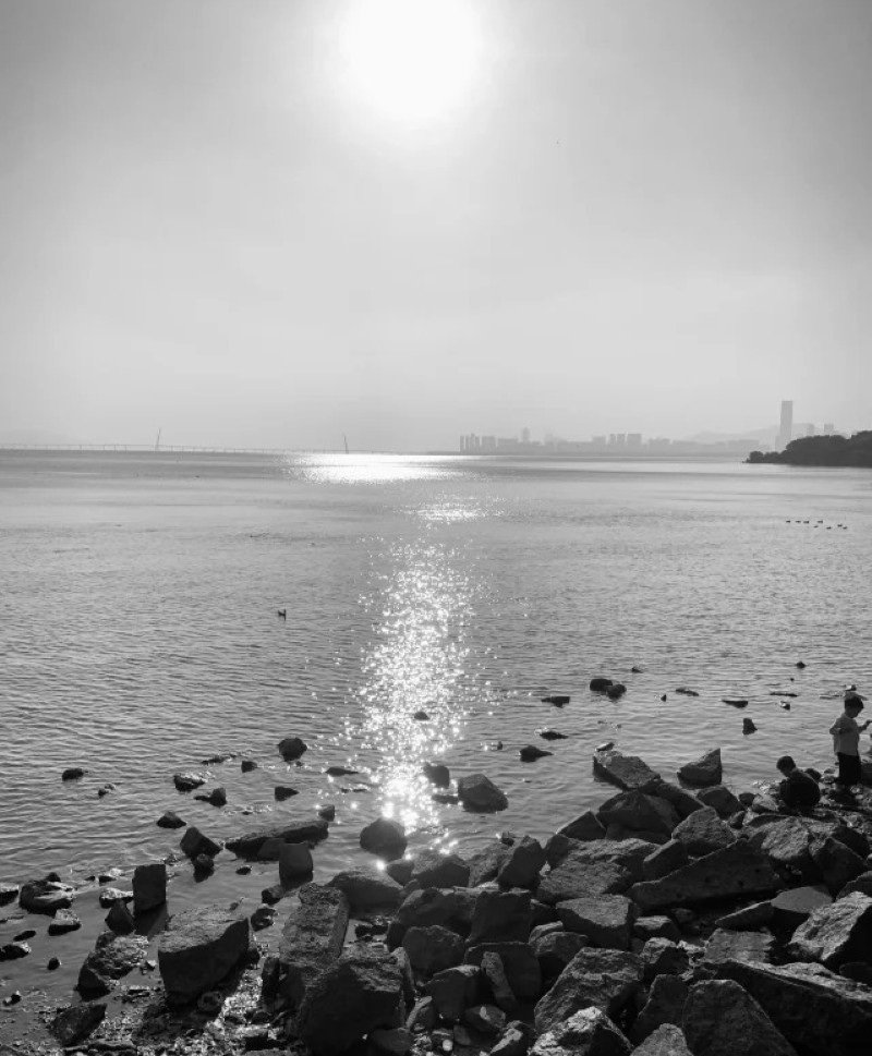 black and white dp 8