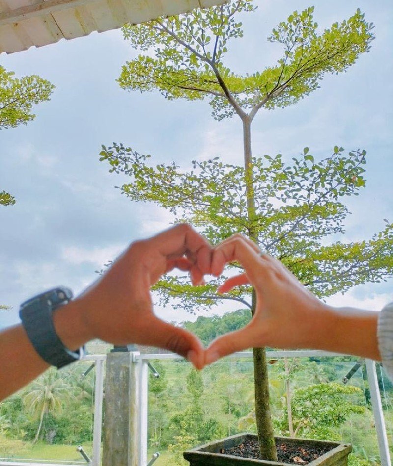 couple hands dp 11