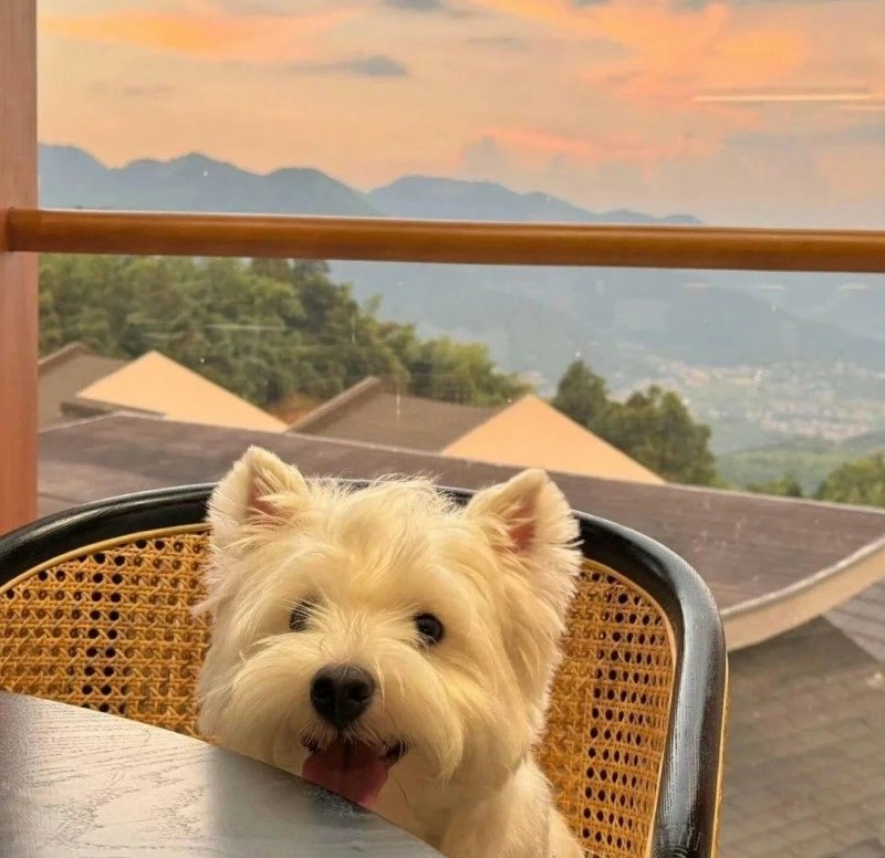 cute happy dp 2