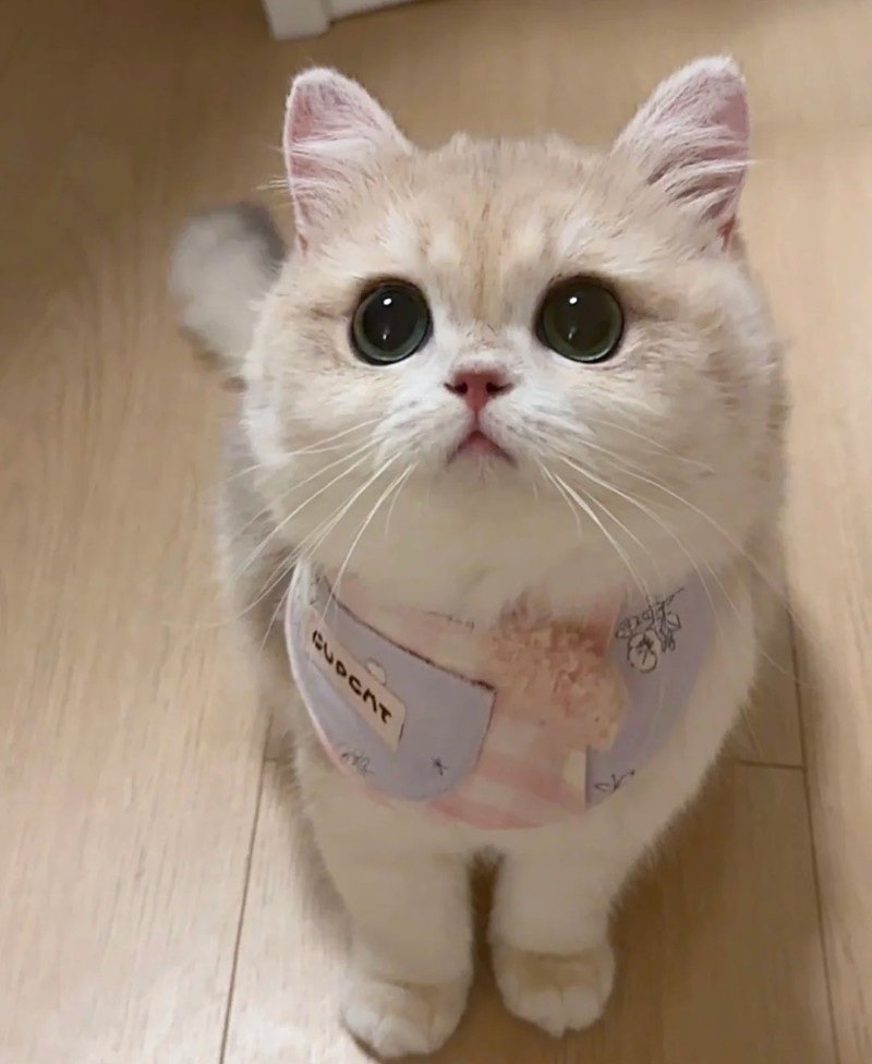 cute happy dp 8
