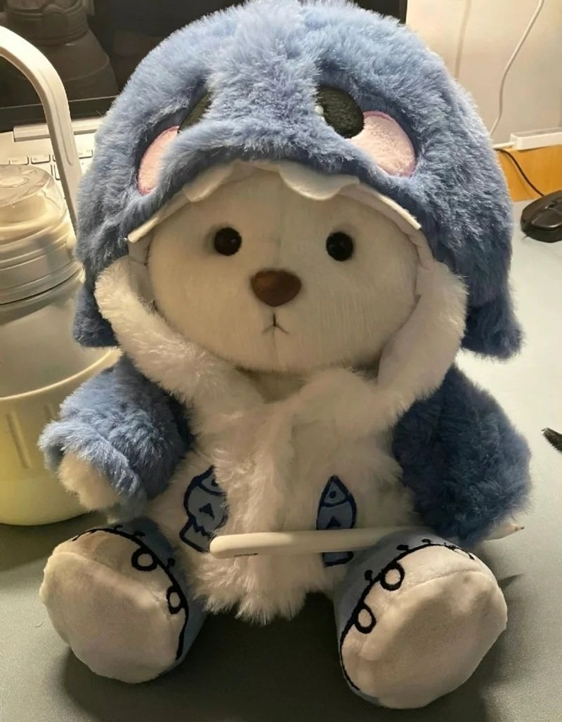 cute teddy bear dp 13