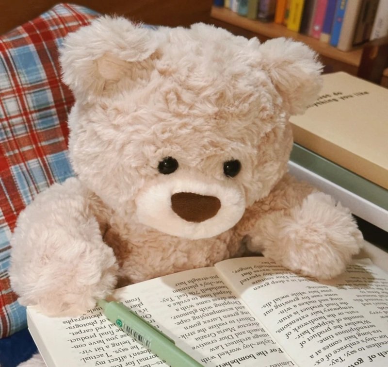 cute teddy bear dp 8
