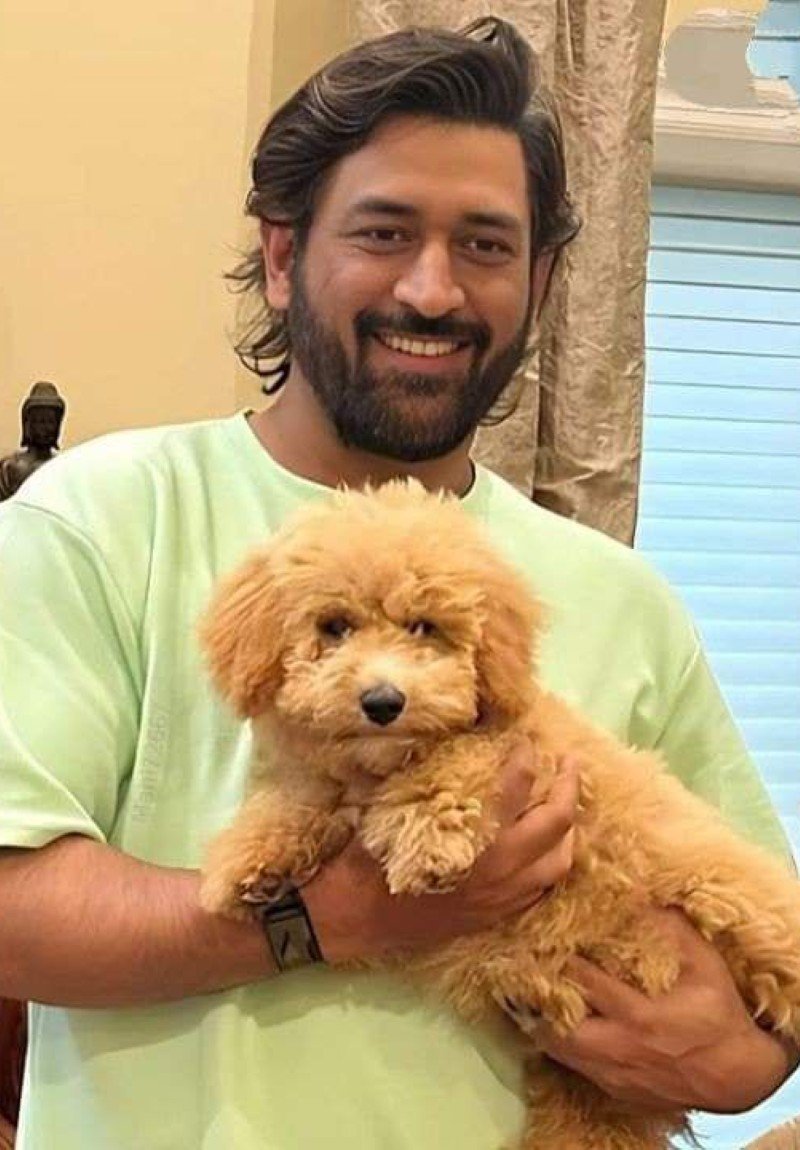 dhoni dp 7