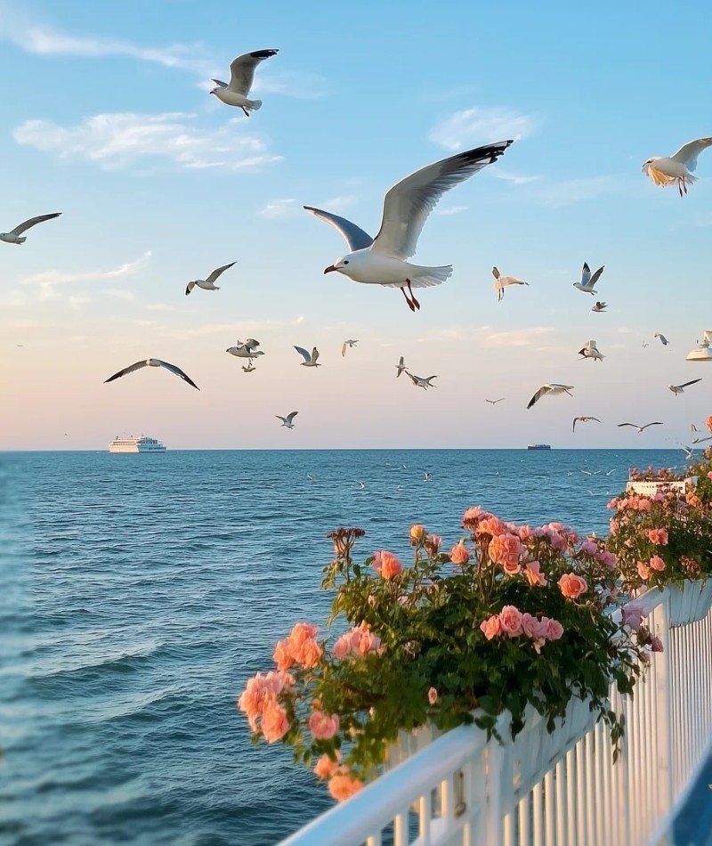 instagram attractive dp