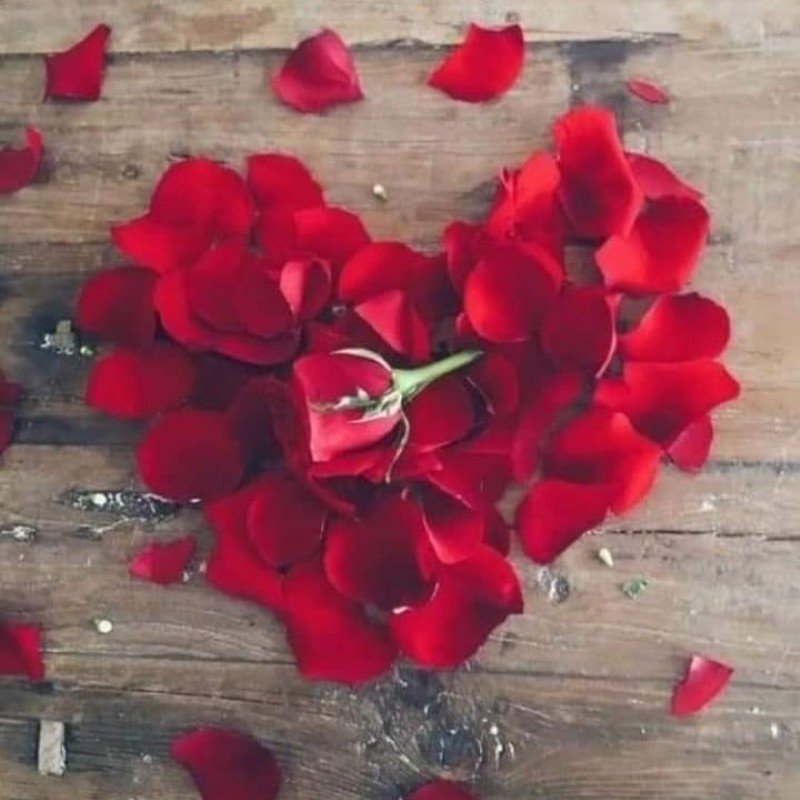 instagram ke liye dp 31