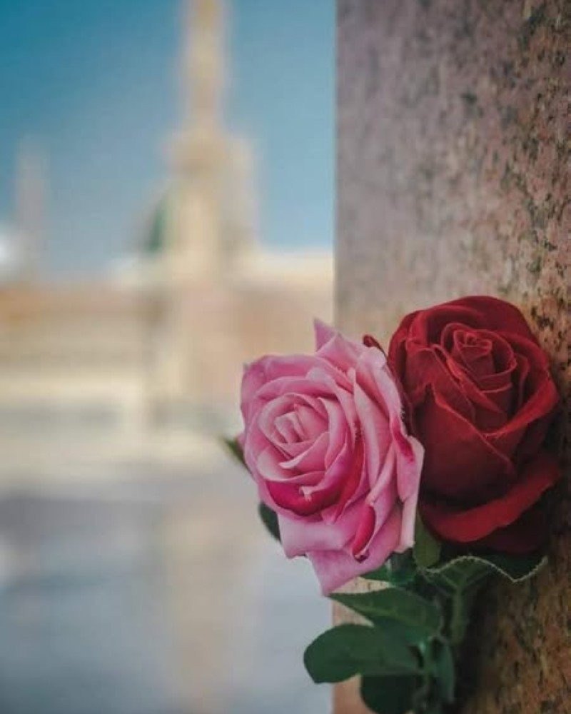 instagram ke liye dp 4
