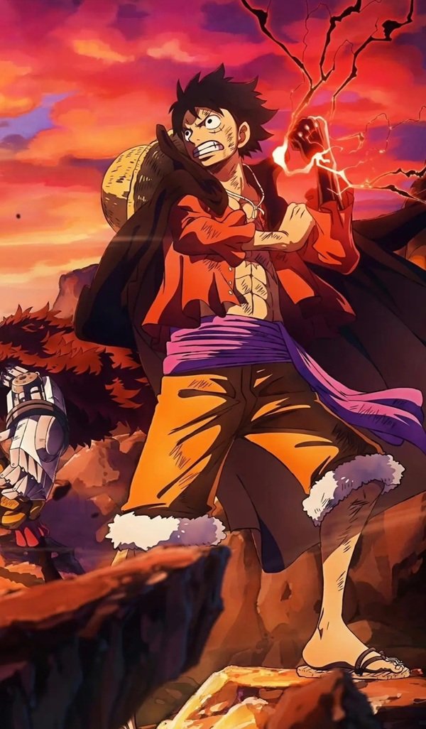 luffy dp 15