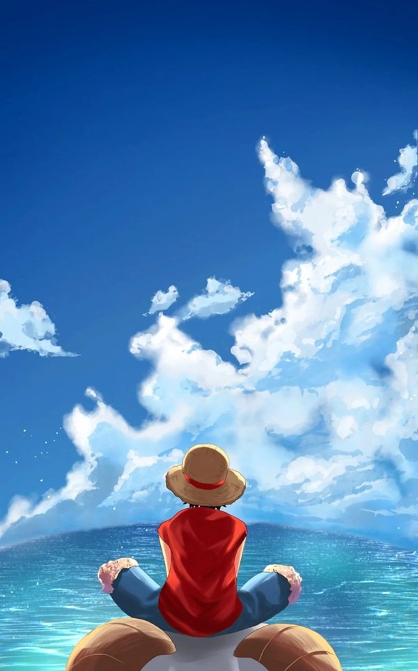 luffy dp 18