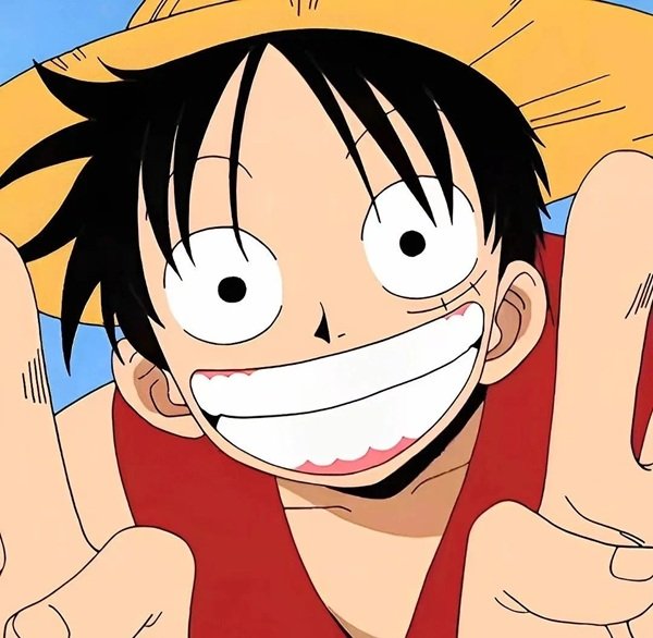 luffy dp 21
