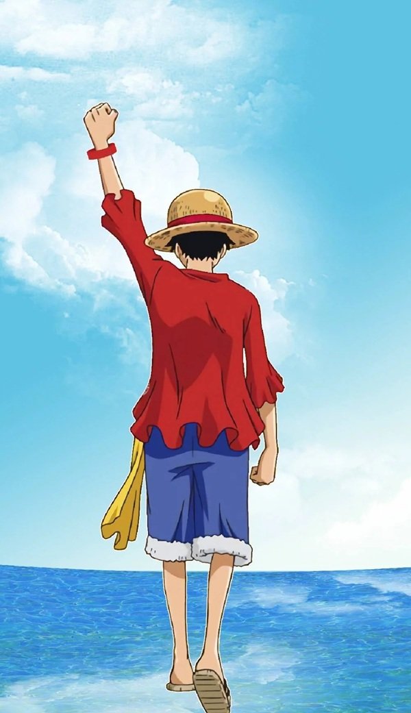 luffy dp 24