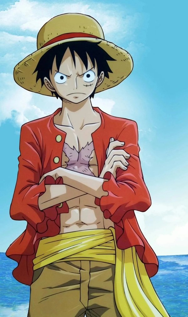 luffy dp 25