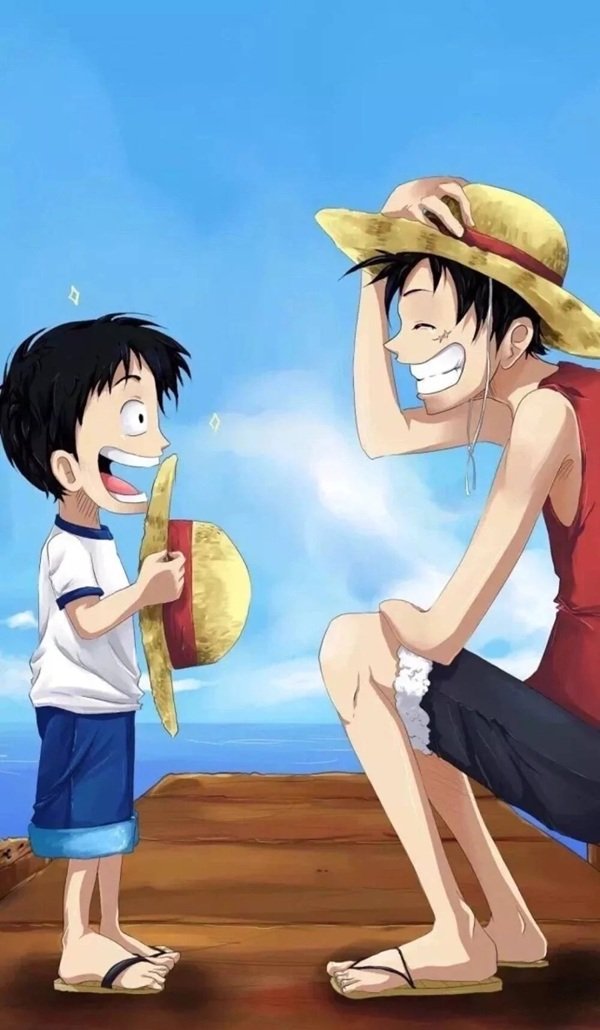 luffy dp 27