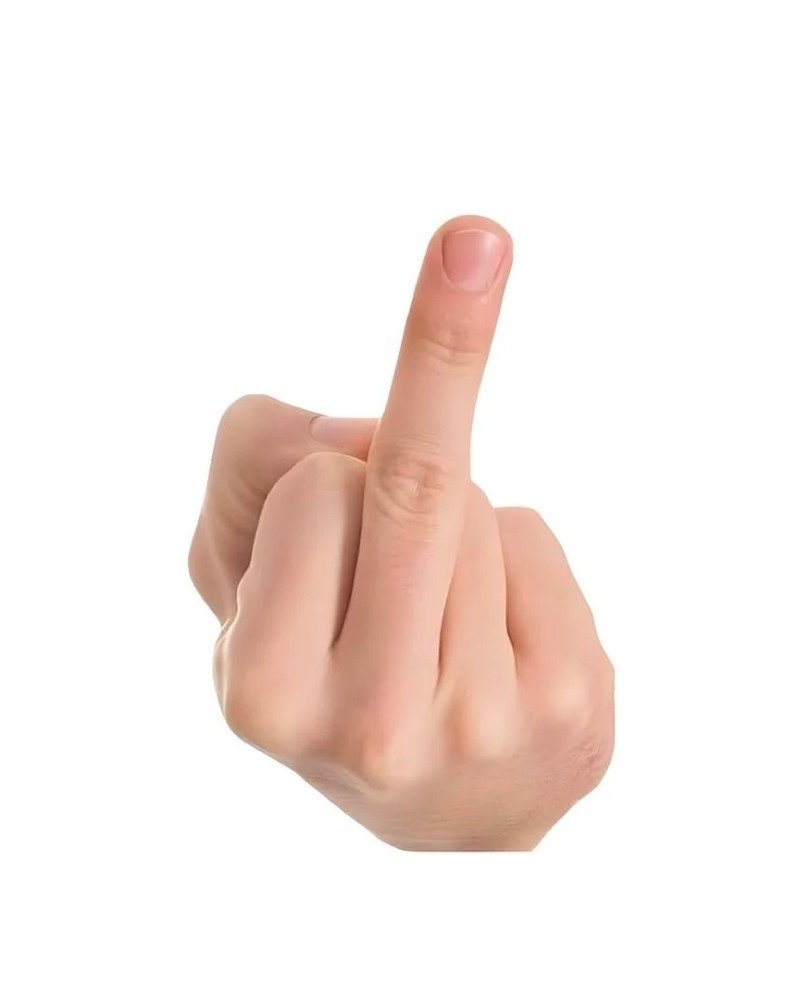 middle finger attitude dp