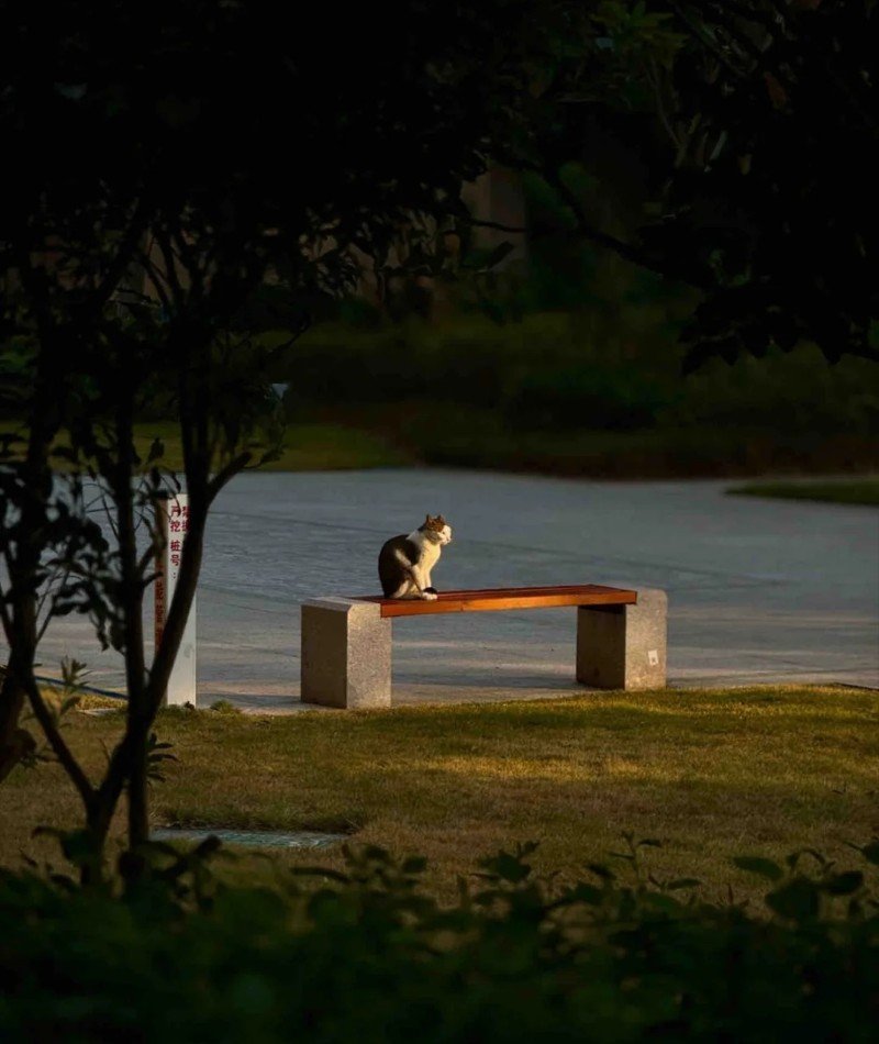 most attractive whatsapp dp