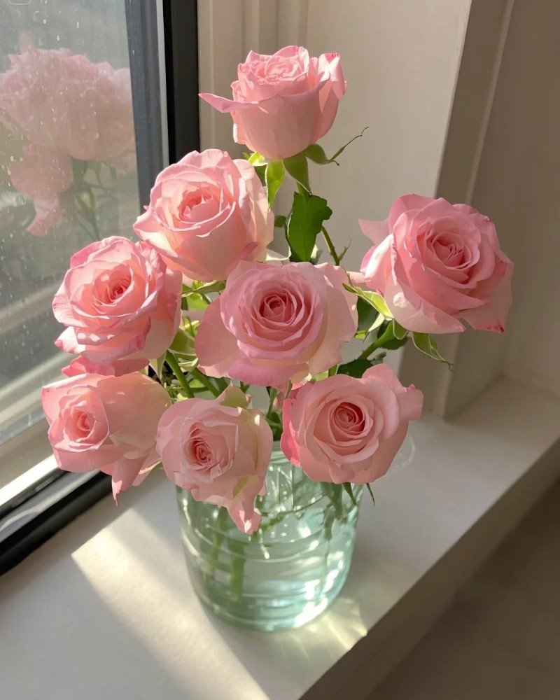 most beautiful flowers dp