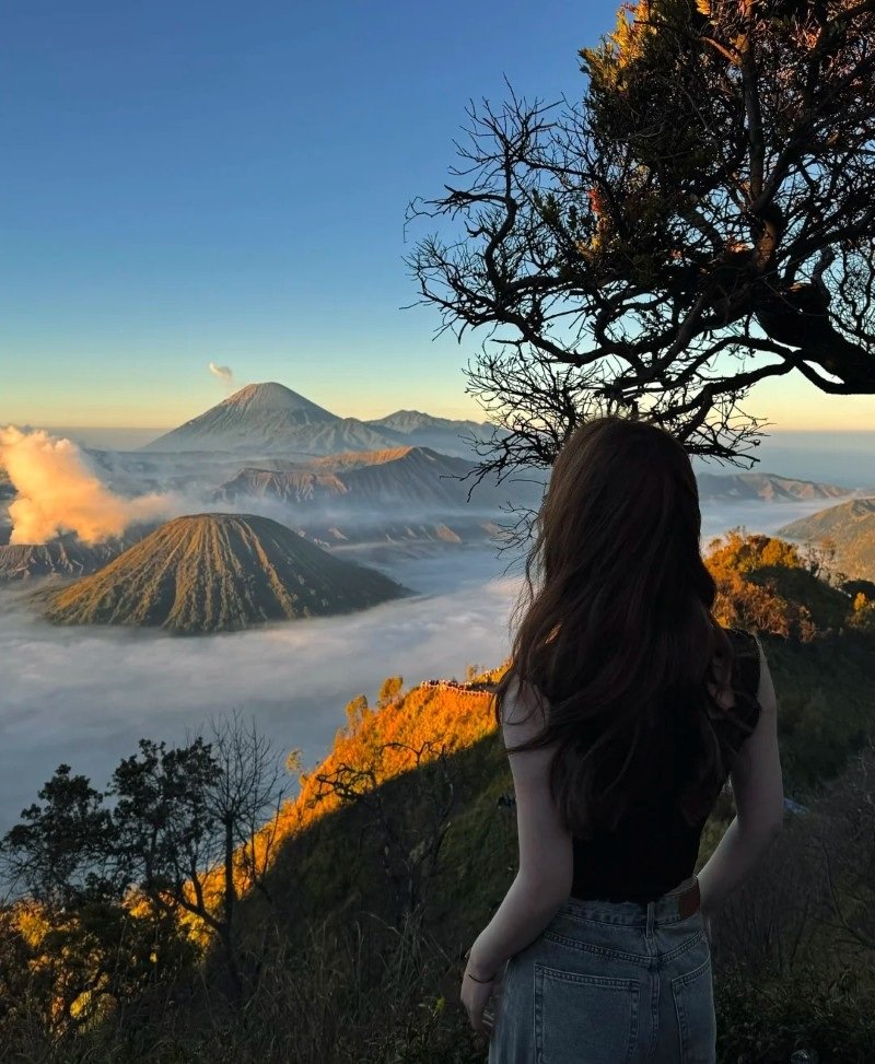 natural attractive whatsapp dp 14
