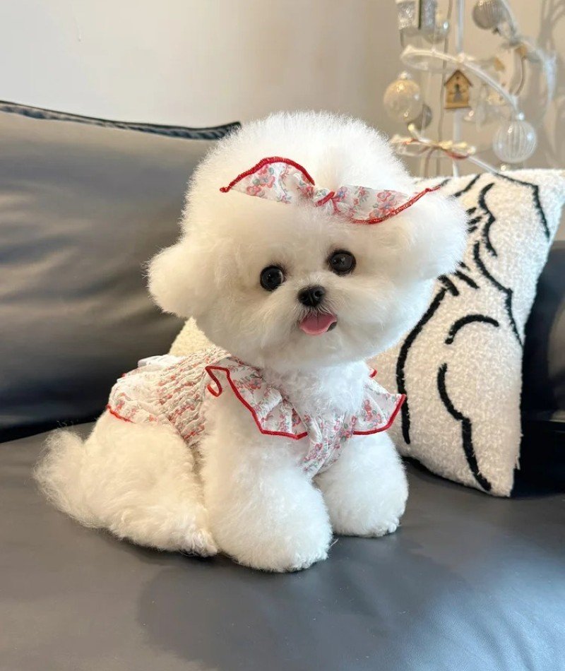 new cute dp 28