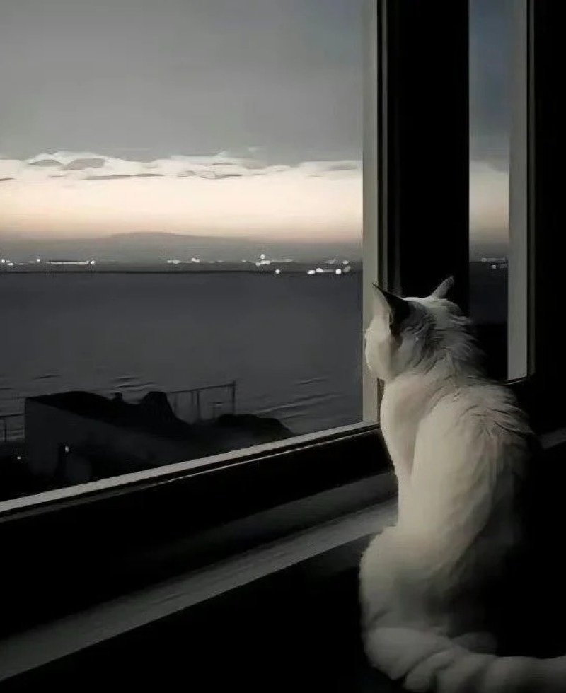 sad dp for instagram 39