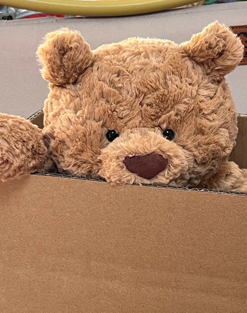 sad teddy bear dp