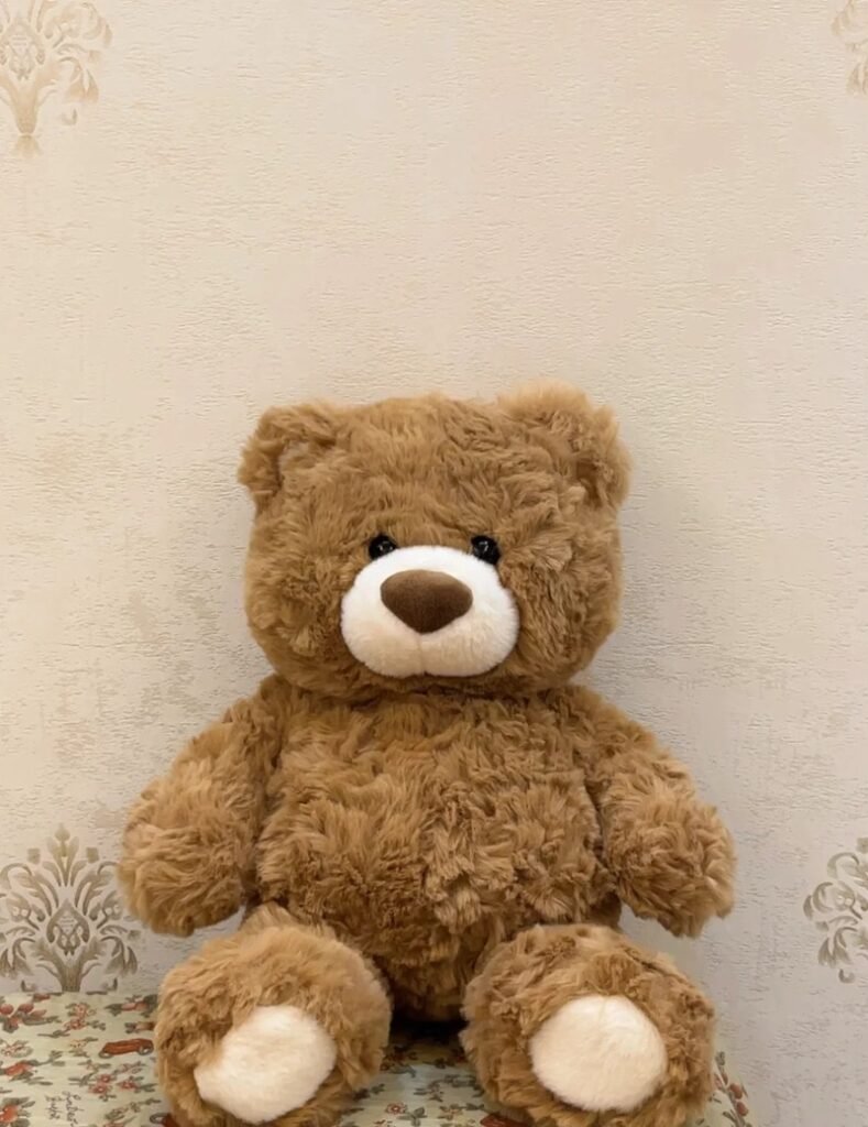 teddy bear whatsapp dp