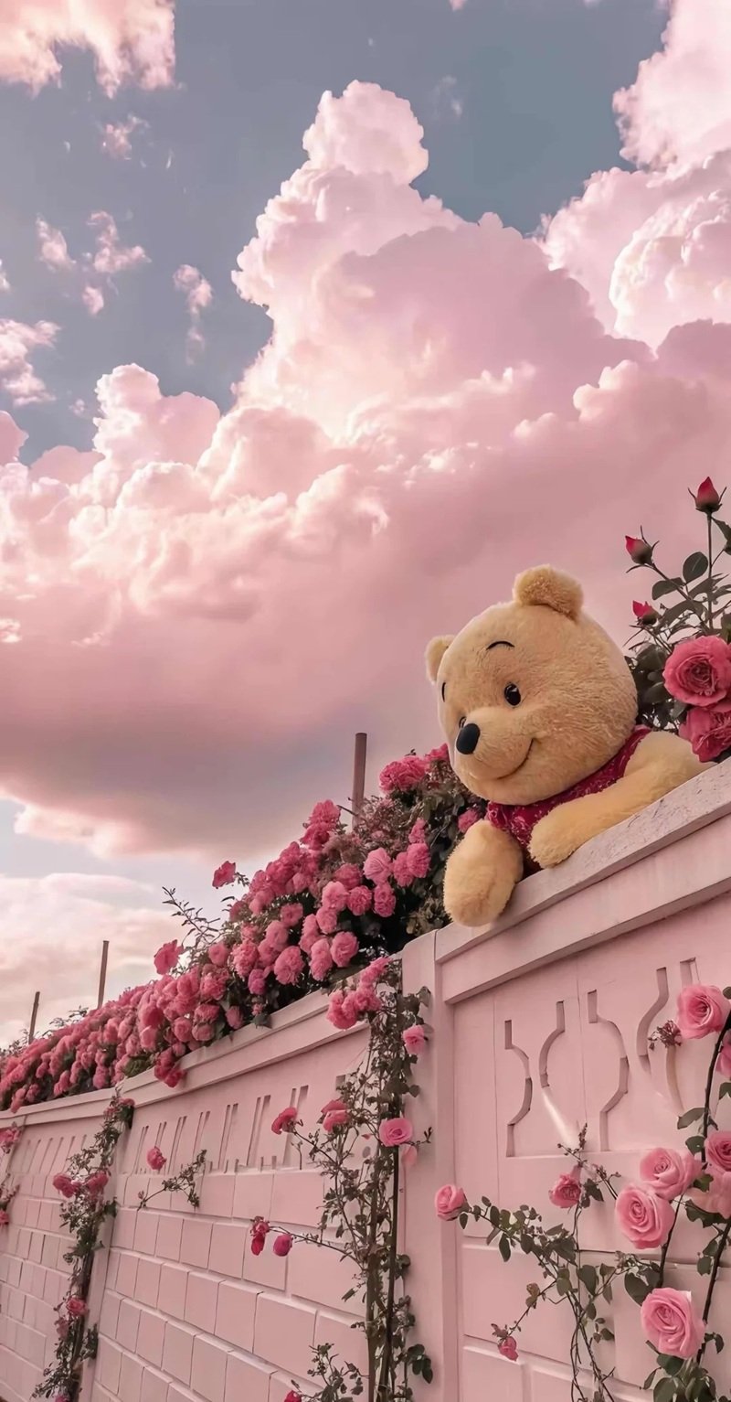 teddy dp for whatsapp