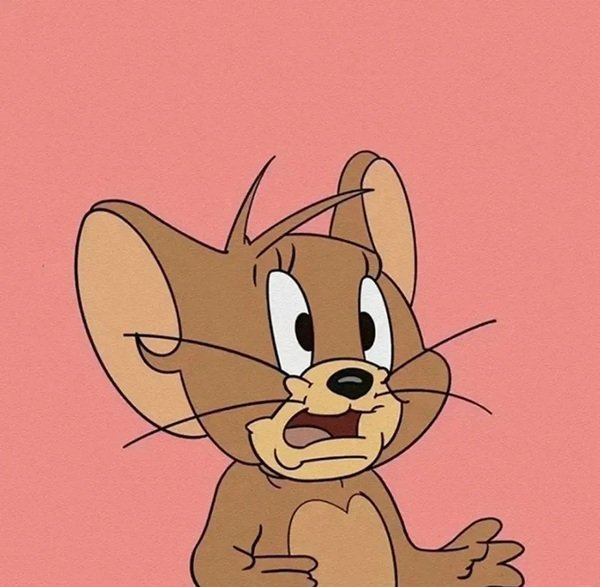 tom and jerry whatsapp dp 17