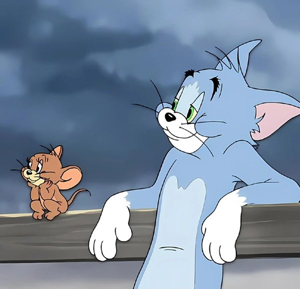 tom and jerry whatsapp dp 36