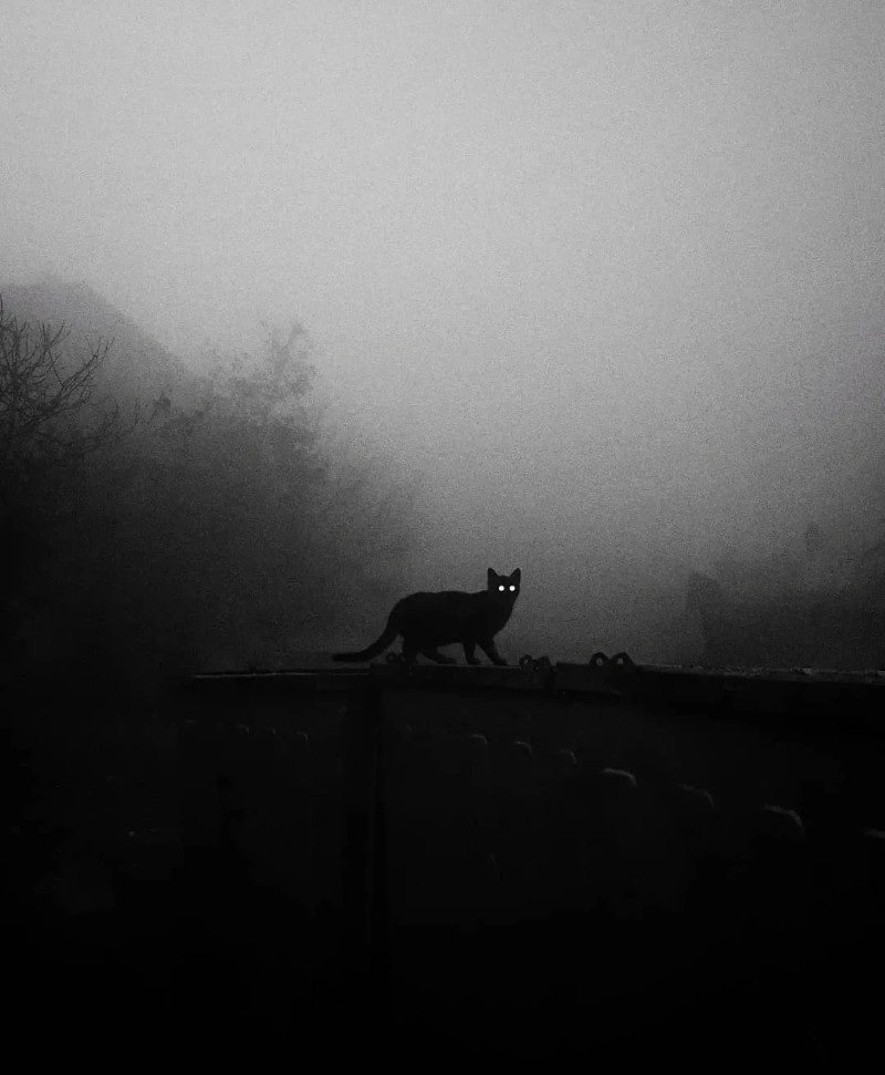 very sad alone dp 26