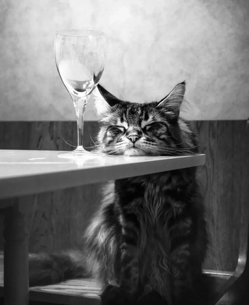 very sad alone dp 39