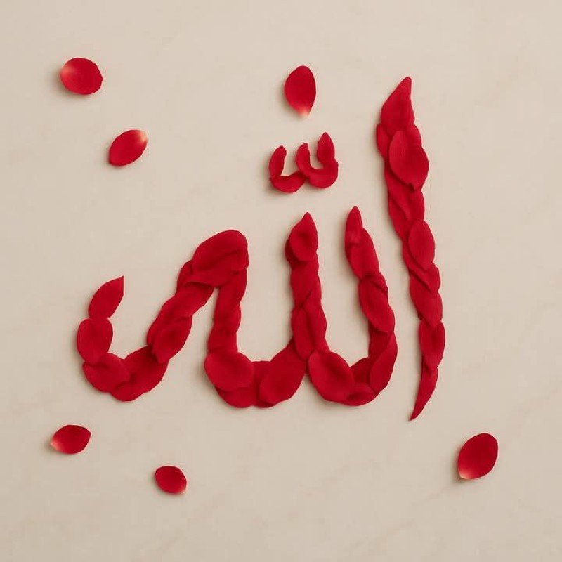 allah dp for whatsapp 3