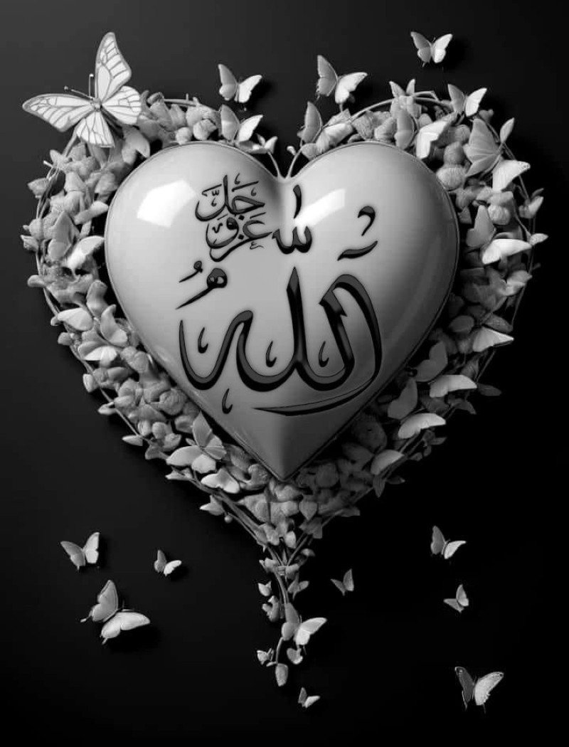 allah dp for whatsapp 34