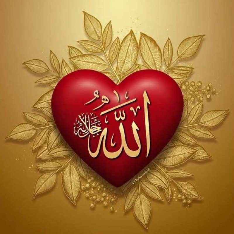 allah dp for whatsapp 36