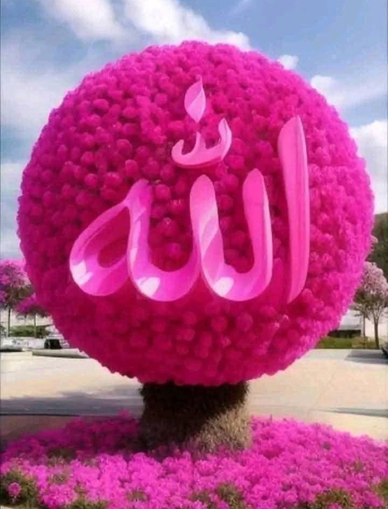 allah dp for whatsapp 8