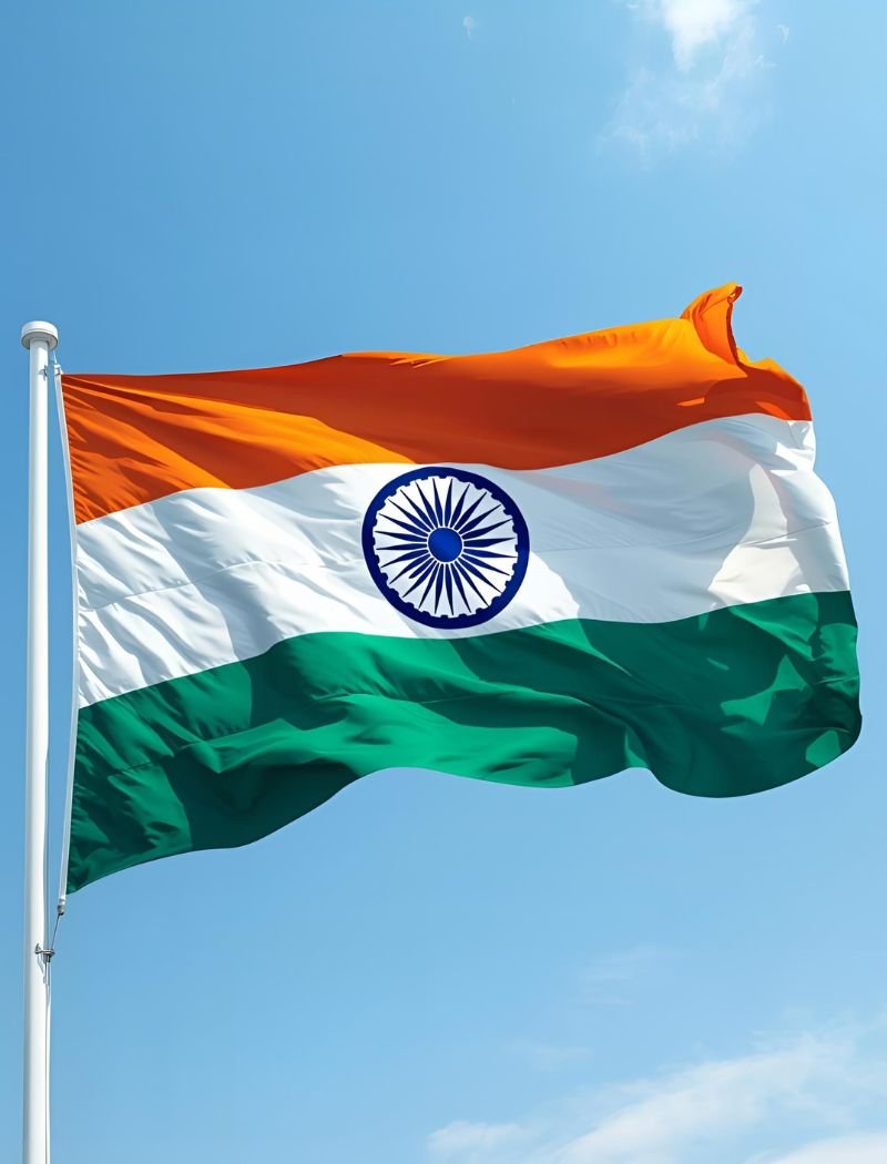 beautiful indian flag dp 8