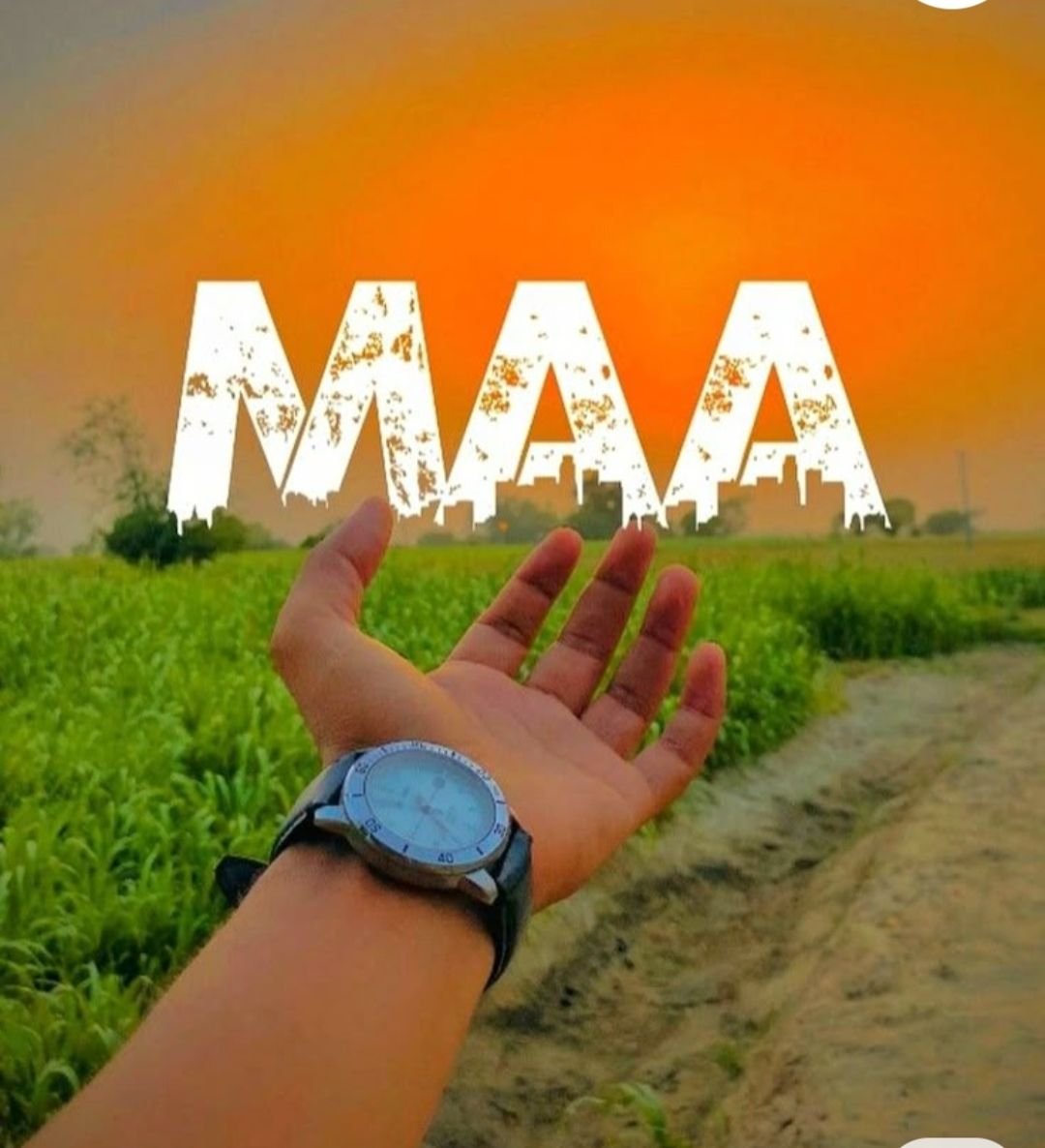 maa dp 1