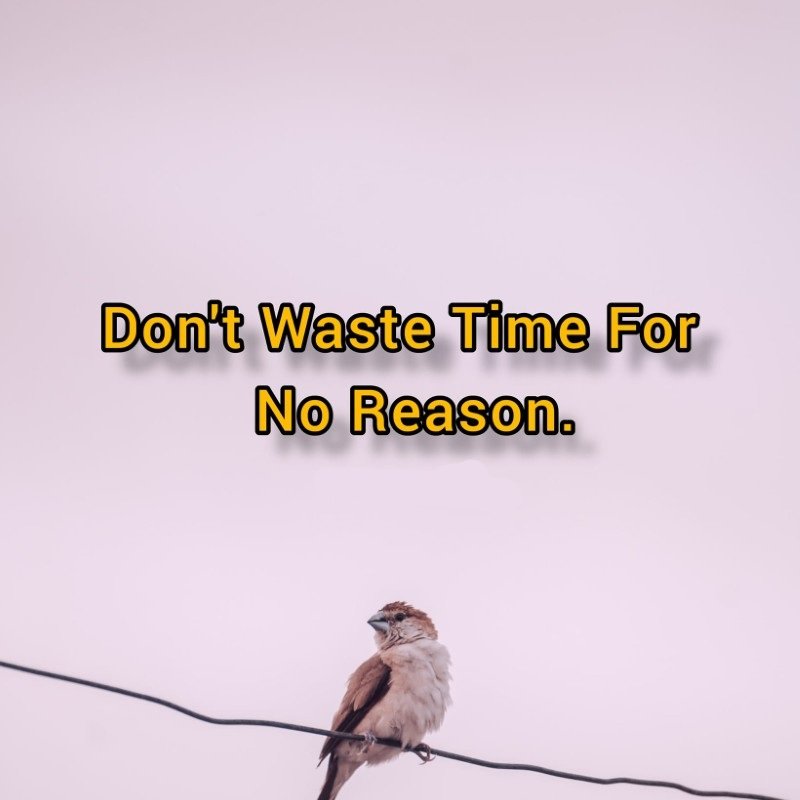 self motivation motivational dp 17
