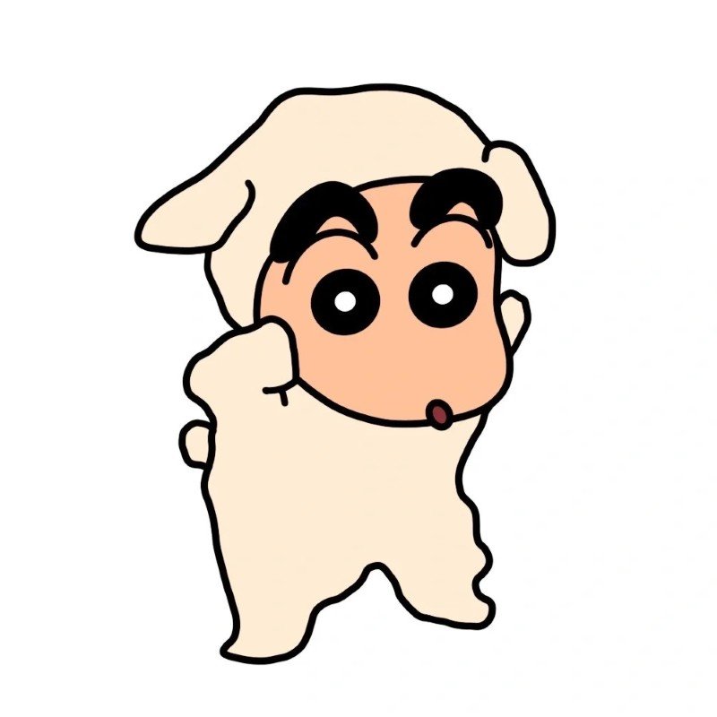 shinchan dp 29