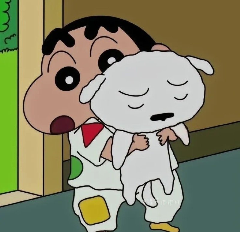 shinchan dp 5